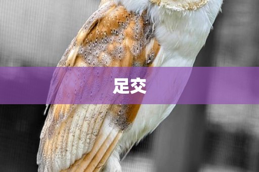 足交
