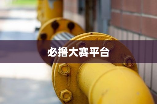 必撸大赛平台