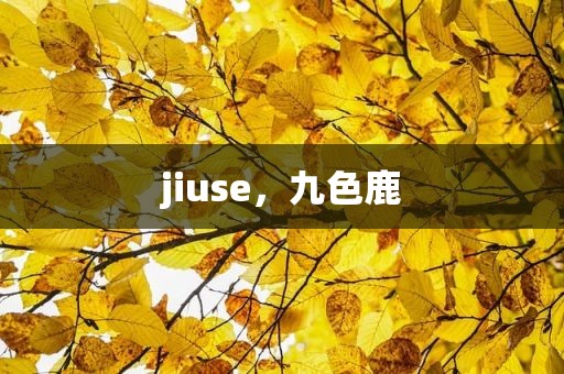 jiuse，九色鹿
