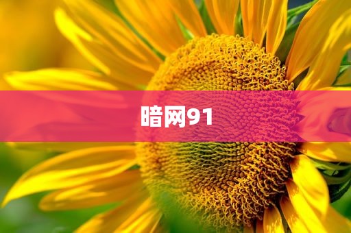 暗网91