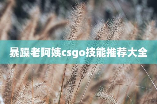 暴躁老阿姨csgo技能推荐大全