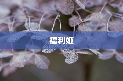 福利姬