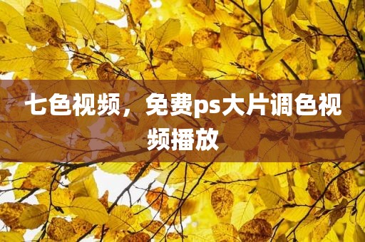 七色视频，免费ps大片调色视频播放