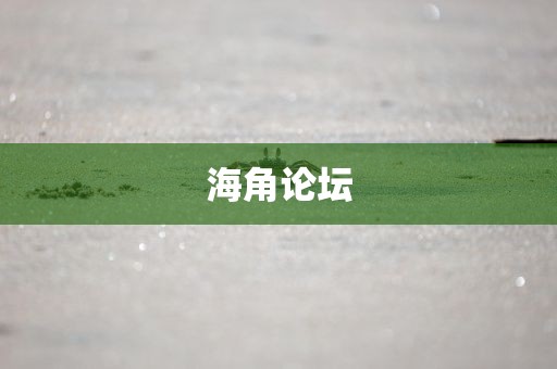 海角论坛