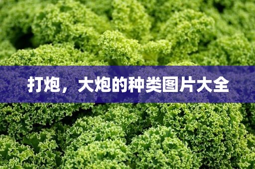 打炮，大炮的种类图片大全