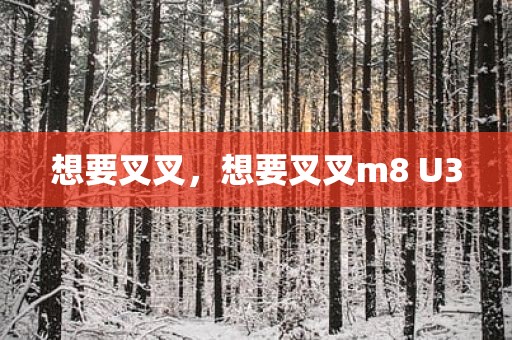 想要叉叉，想要叉叉m8 U3