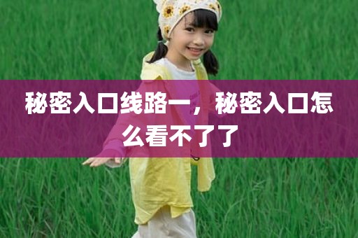 秘密入口线路一，秘密入口怎么看不了了