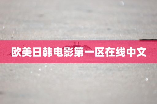 欧美日韩电影第一区在线中文