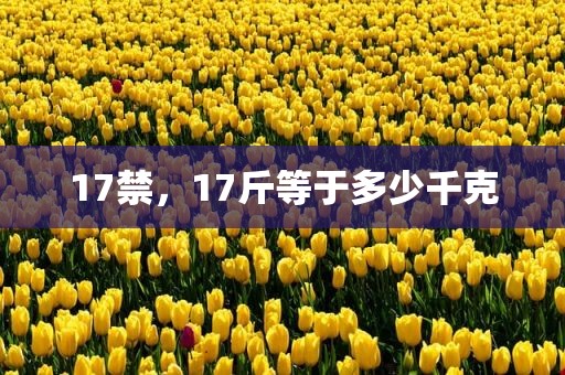 17禁，17斤等于多少千克