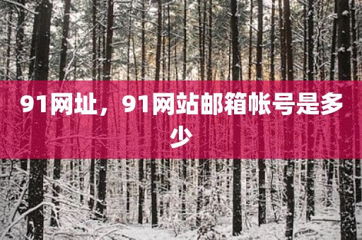 91网址，91网站邮箱帐号是多少