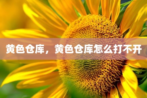 黄色仓库，黄色仓库怎么打不开