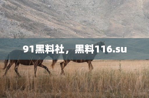 91黑料社，黑料116.su