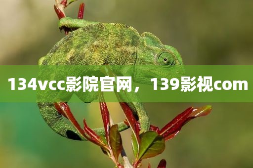 134vcc影院官网，139影视com