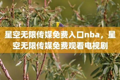 星空无限传媒免费入口nba，星空无限传媒免费观看电视剧