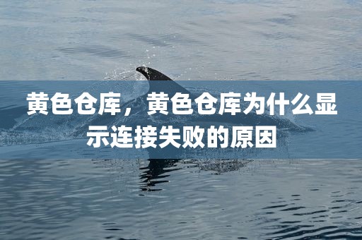 黄色仓库，黄色仓库为什么显示连接失败的原因