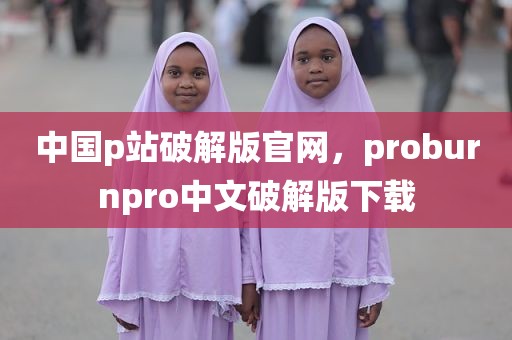 中国p站破解版官网，proburnpro中文破解版下载