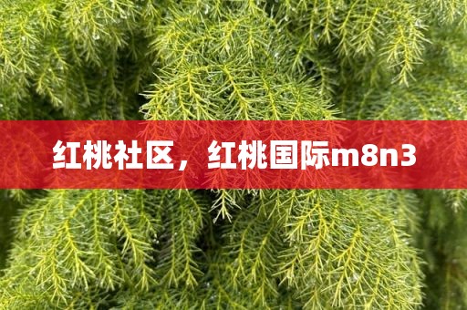 红桃社区，红桃国际m8n3