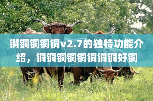 锕铜铜铜铜v2.7的独特功能介绍，铜铜铜铜铜铜铜铜好铜