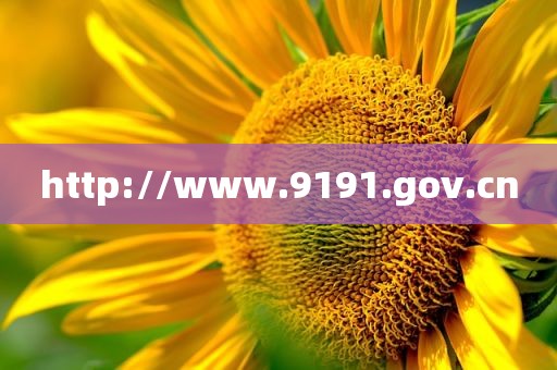 http://www.9191.gov.cn