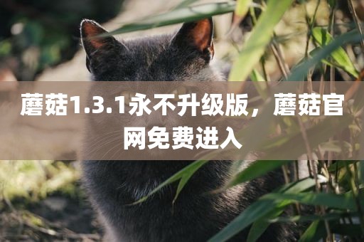 蘑菇1.3.1永不升级版，蘑菇官网免费进入