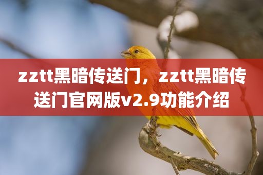 zztt黑暗传送门，zztt黑暗传送门官网版v2.9功能介绍