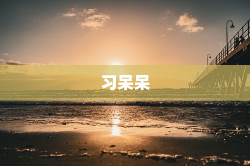 习呆呆
