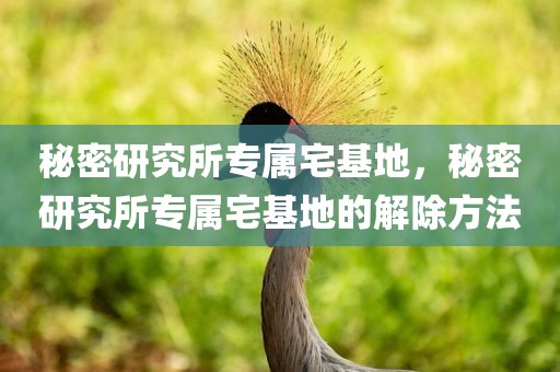 秘密研究所专属宅基地，秘密研究所专属宅基地的解除方法