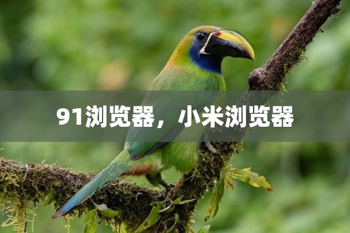 91浏览器，小米浏览器