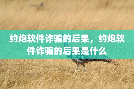 约炮软件诈骗的后果，约炮软件诈骗的后果是什么