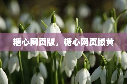 糖心网页版，糖心网页版黄