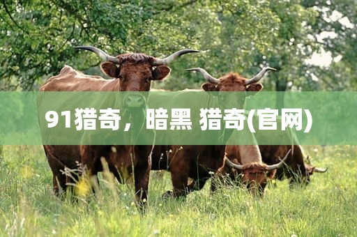91猎奇，暗黑 猎奇(官网)