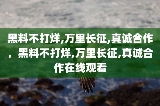 黑料不打烊,万里长征,真诚合作，黑料不打烊,万里长征,真诚合作在线观看