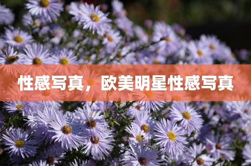 性感写真，欧美明星性感写真