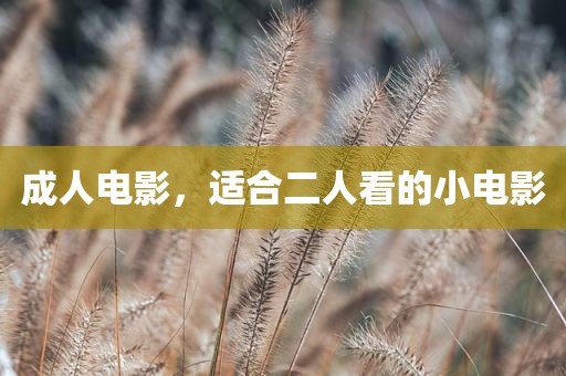 成人电影，适合二人看的小电影