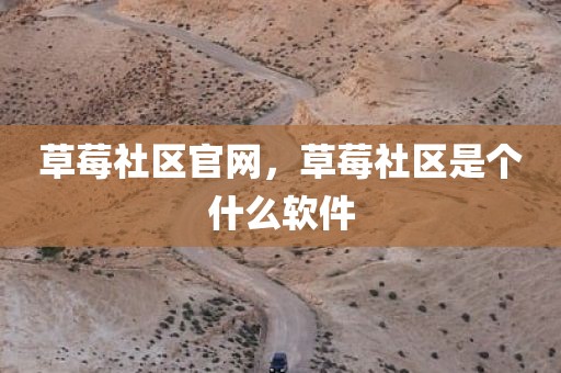 草莓社区官网，草莓社区是个什么软件