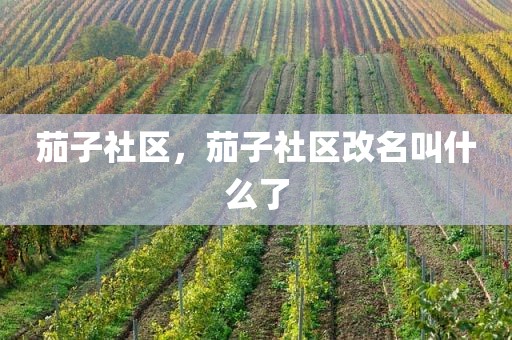 茄子社区，茄子社区改名叫什么了