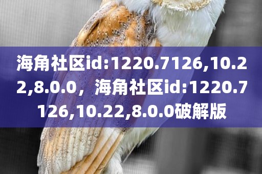 海角社区id:1220.7126,10.22,8.0.0，海角社区id:1220.7126,10.22,8.0.0破解版