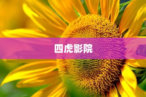 四虎影院