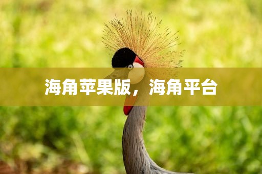 海角苹果版，海角平台