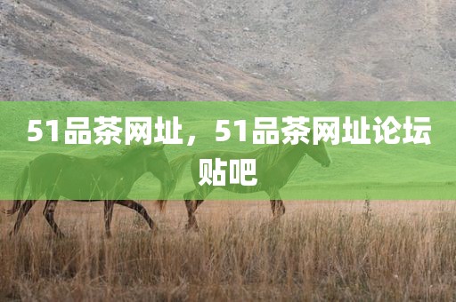 51品茶网址，51品茶网址论坛贴吧