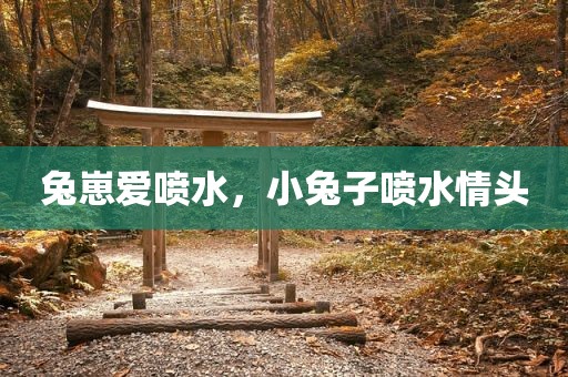 兔崽爱喷水，小兔子喷水情头