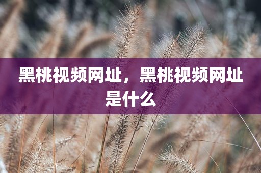 黑桃视频网址，黑桃视频网址是什么