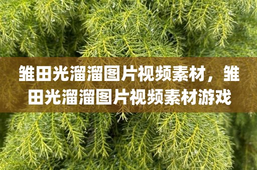 雏田光溜溜图片视频素材，雏田光溜溜图片视频素材游戏