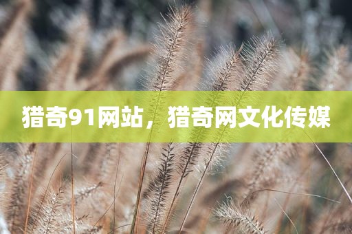 猎奇91网站，猎奇网文化传媒