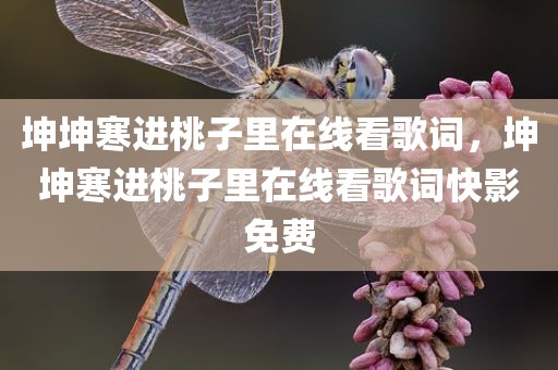 坤坤寒进桃子里在线看歌词，坤坤寒进桃子里在线看歌词快影免费