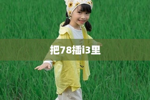 把78插i3里