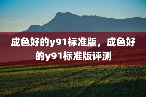 成色好的y91标准版，成色好的y91标准版评测