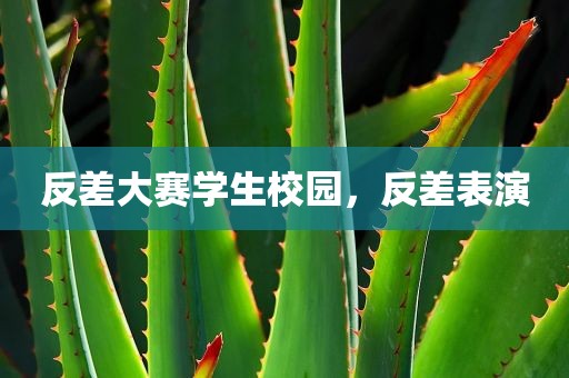 反差大赛学生校园，反差表演