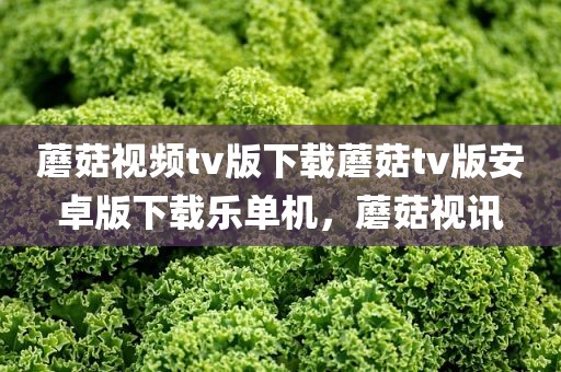 蘑菇视频tv版下载蘑菇tv版安卓版下载乐单机，蘑菇视讯