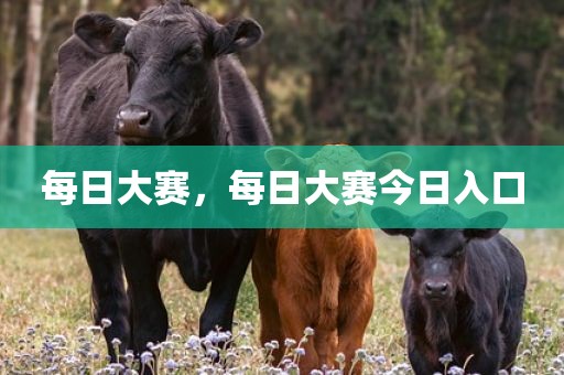 每日大赛，每日大赛今日入口